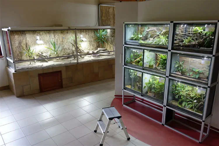 Schmetterlingshaus Jonsdorf