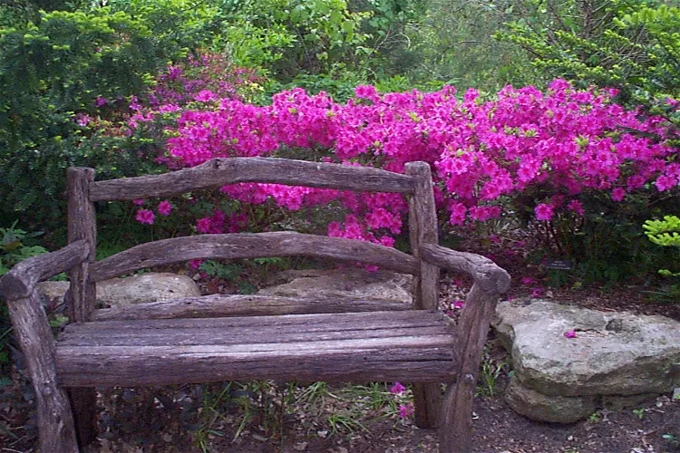 Botánica, Los Jardines de Wichita