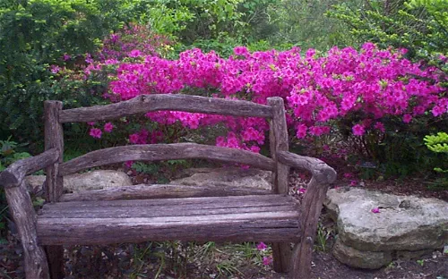 Botanica the Wichita Gardens