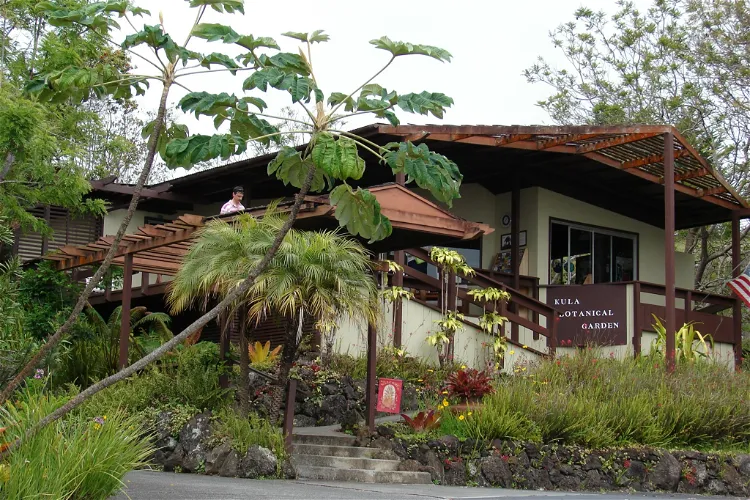 Jardín botánico de Kula