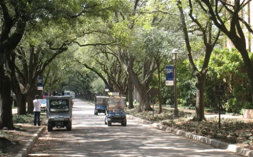 The Lynn R. Lowrey Arboretum at Rice University
