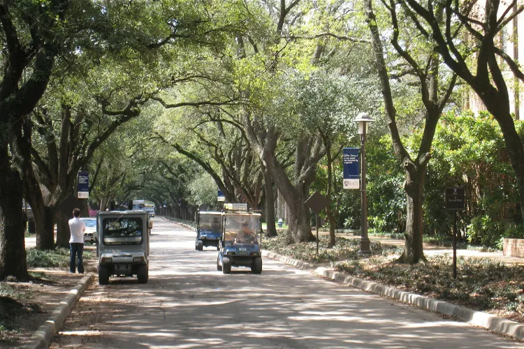 The Lynn R. Lowrey Arboretum at Rice University