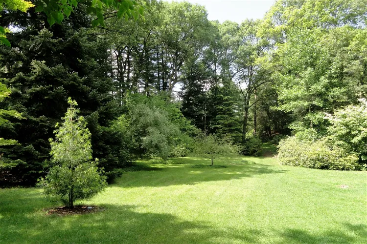 Wellesley College Botanic Gardens