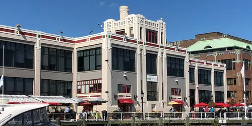 Fleeting: An Exhibition of Artists from Torpedo Factory Art Center Celebrating Cherry Blossoms