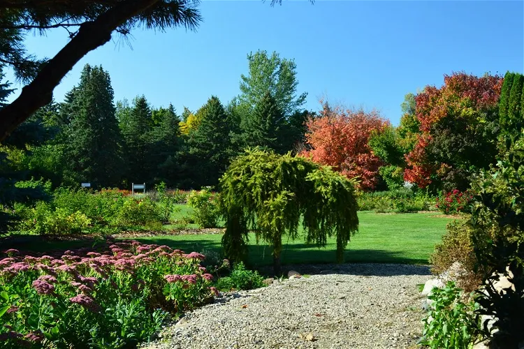 McCrory Gardens