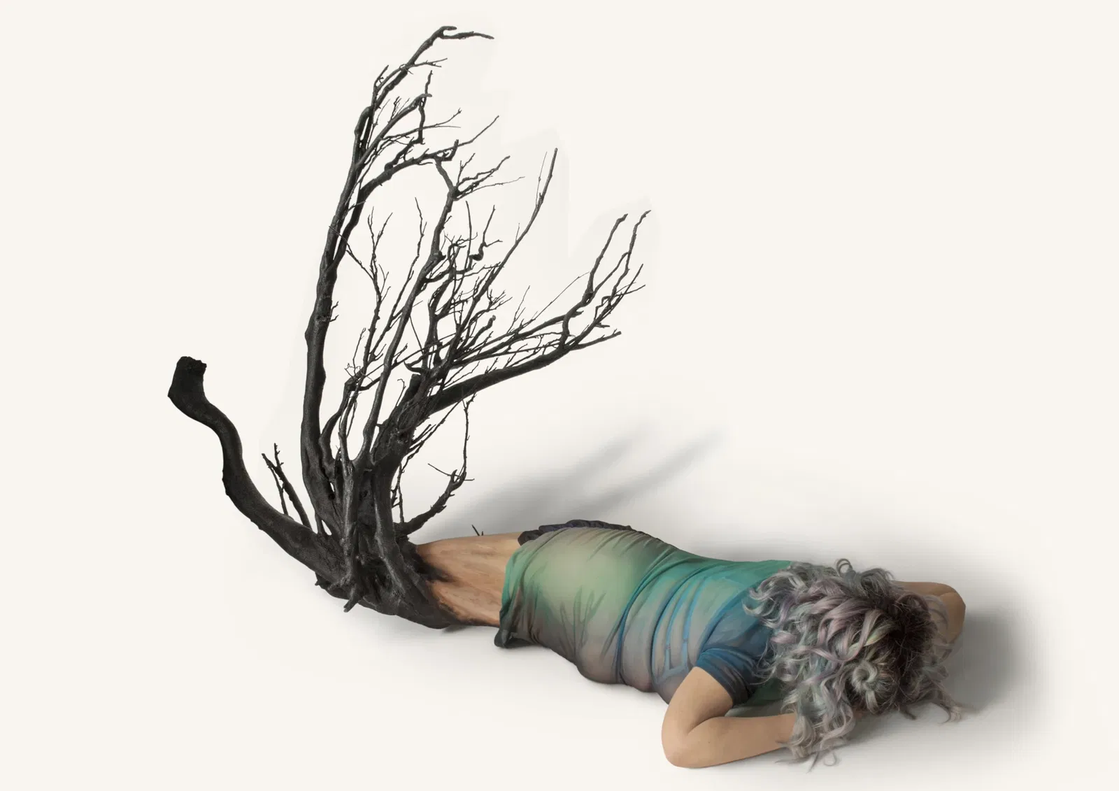 Silvia B. – We are all Entangled