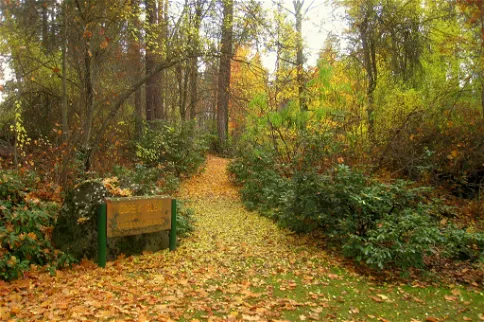 John A. Finch Arboretum
