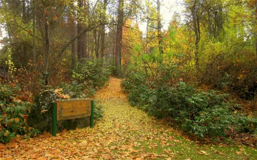John A. Finch Arboretum