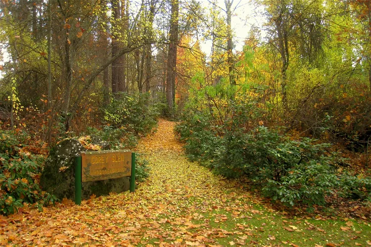 John A. Finch Arboretum