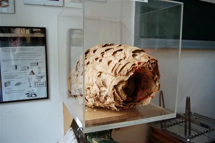 Bienenmuseum