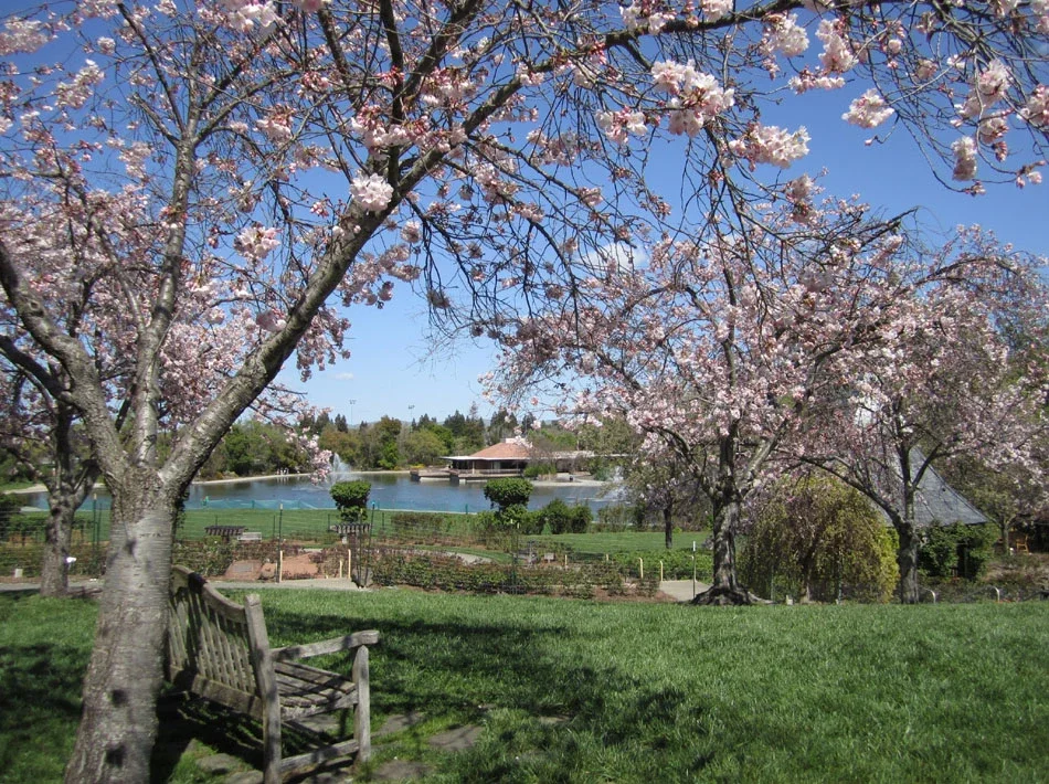 The Gardens at Heather Farm