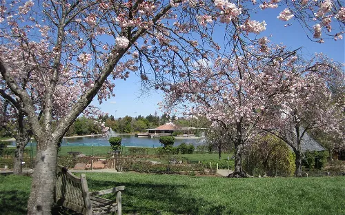 The Gardens at Heather Farm