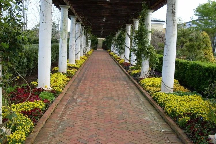 Daniel Stowe Botanical Garden