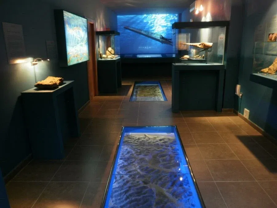 Museo de los Mares Paleozoicos