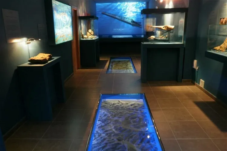 Museo de los Mares Paleozoicos