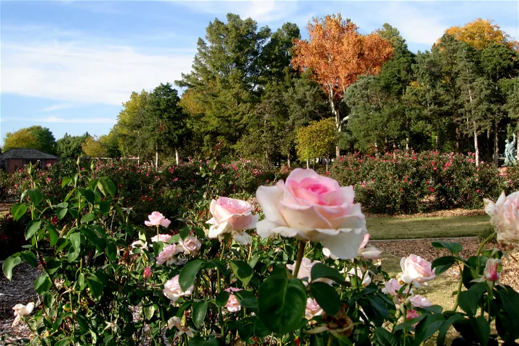 Will Rogers Gardens