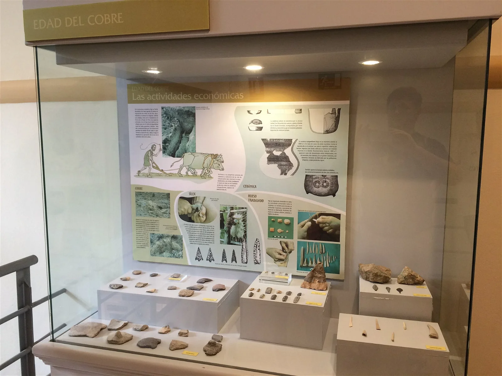 Museo Arqueológico de Galera