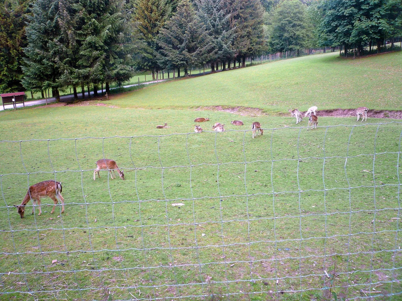 Wildpark Gersfeld