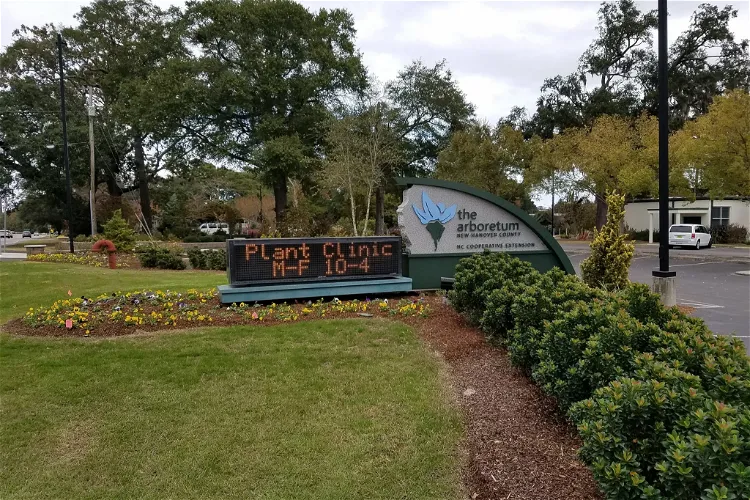 New Hanover County Arboretum