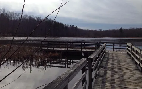 Pocahontas State Park