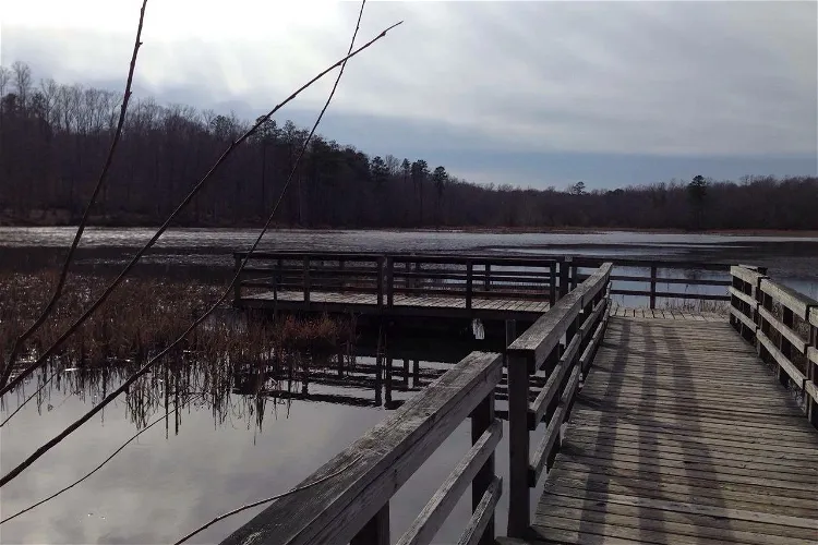 Pocahontas State Park