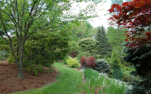 Mount Airy Arboretum