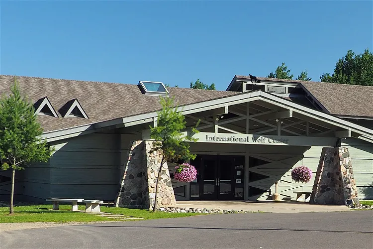 International Wolf Center