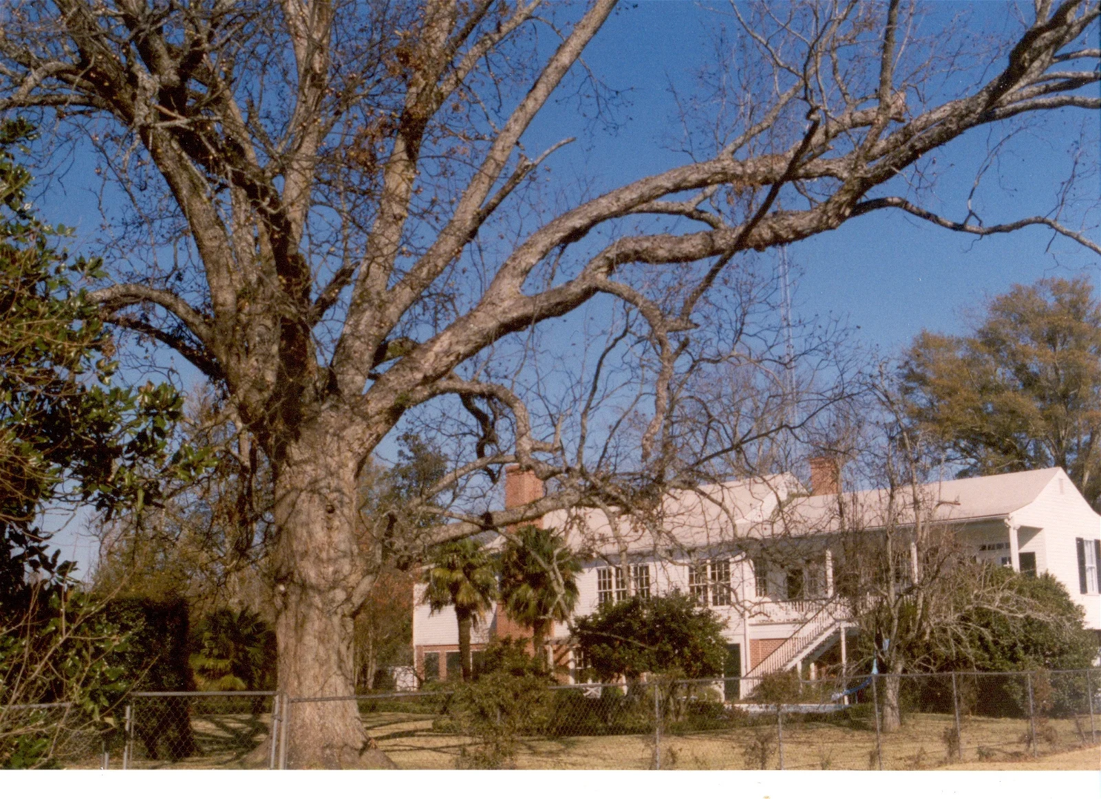 Frogmore Cotton Plantation and Gins
