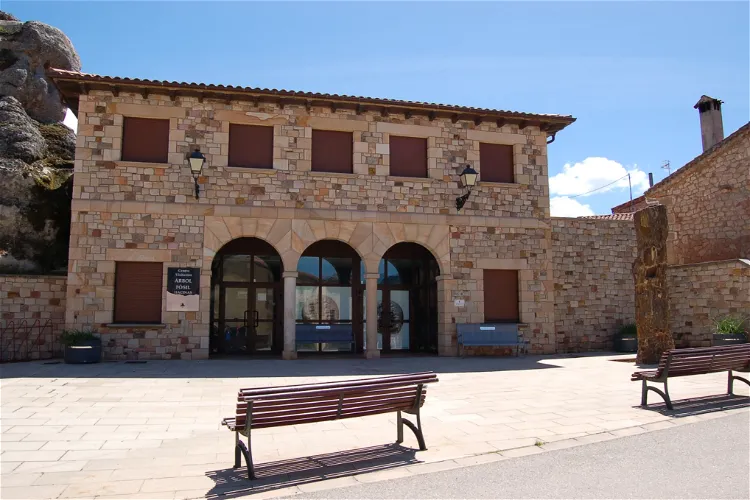Museo del Árbol Fósil