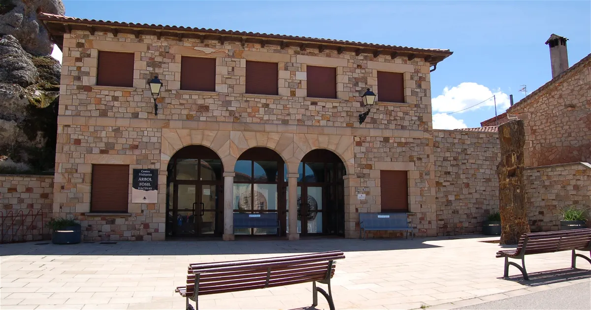 Foto de Museo del Árbol Fósil en Hacinas, Burgos