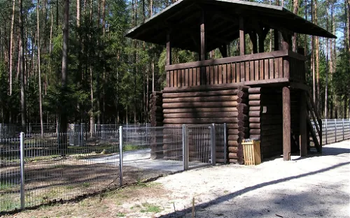 Wildschweingehege Buckenhofer Forst