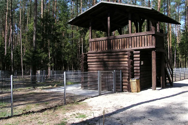 Wildschweingehege Buckenhofer Forst