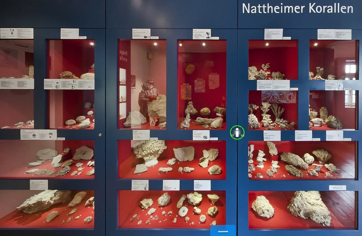 Korallen- und Heimatmuseum