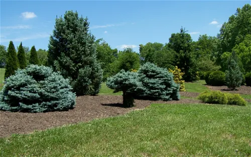 Boone County Arboretum