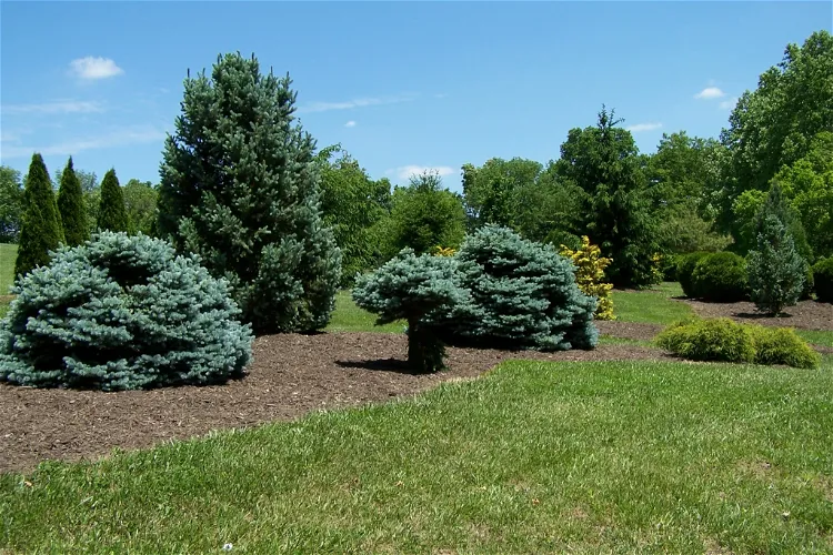 Boone County Arboretum