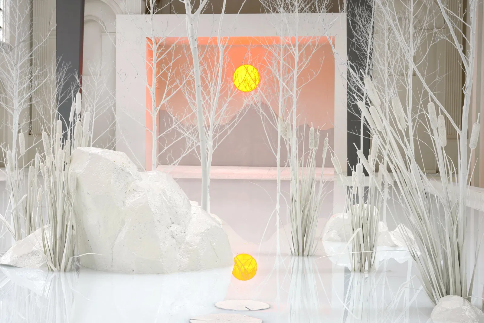 The Silent Reflection