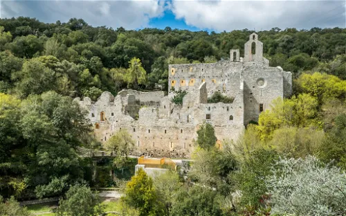 Botanical Garden of Santa Catalina
