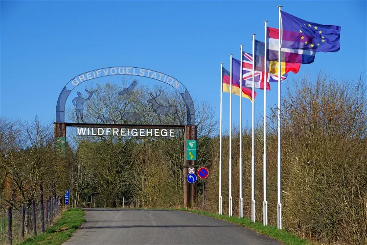 Greifvogelstation & Wildfreigehege Hellenthal