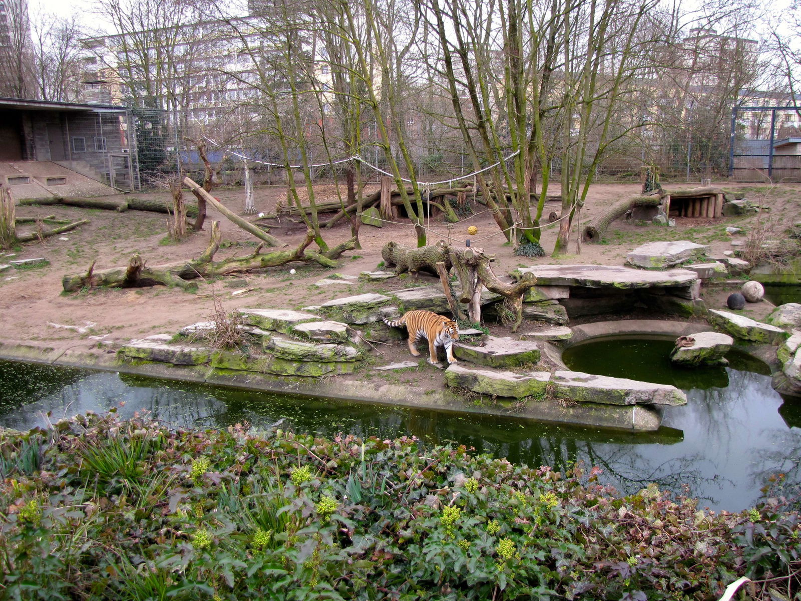 Kölner Zoo