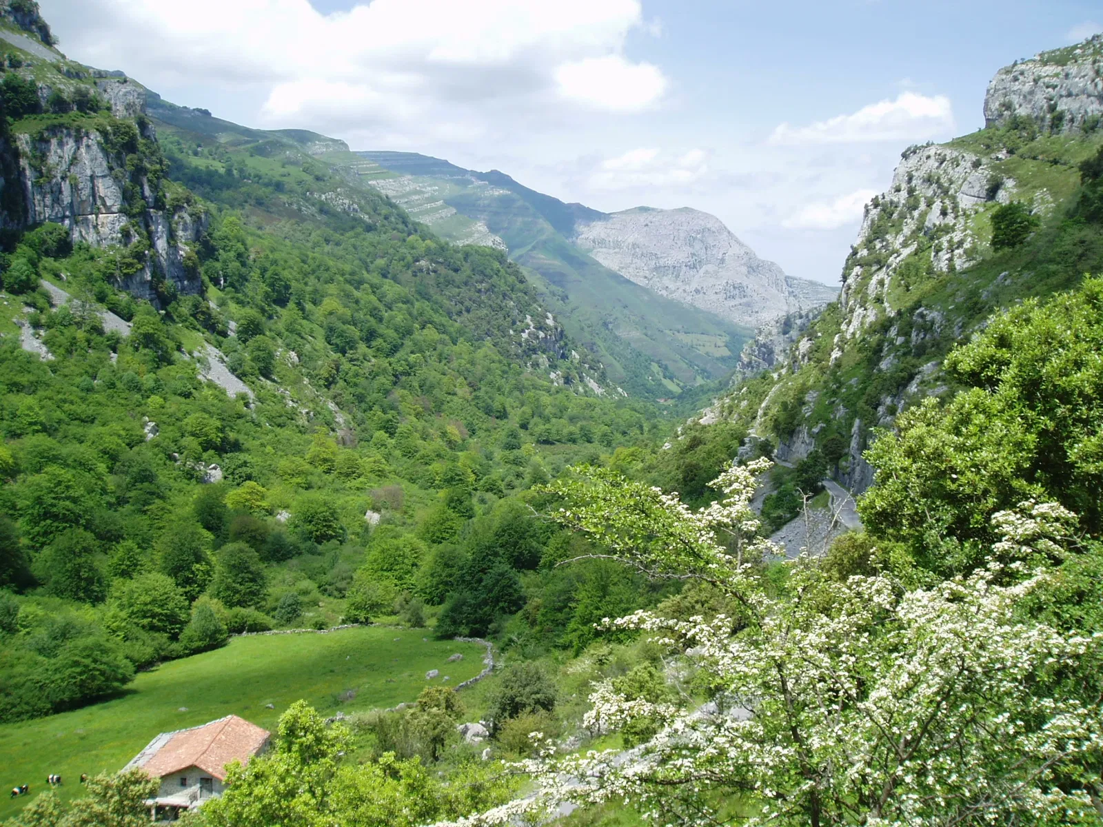 Collados del Asón Natural Park