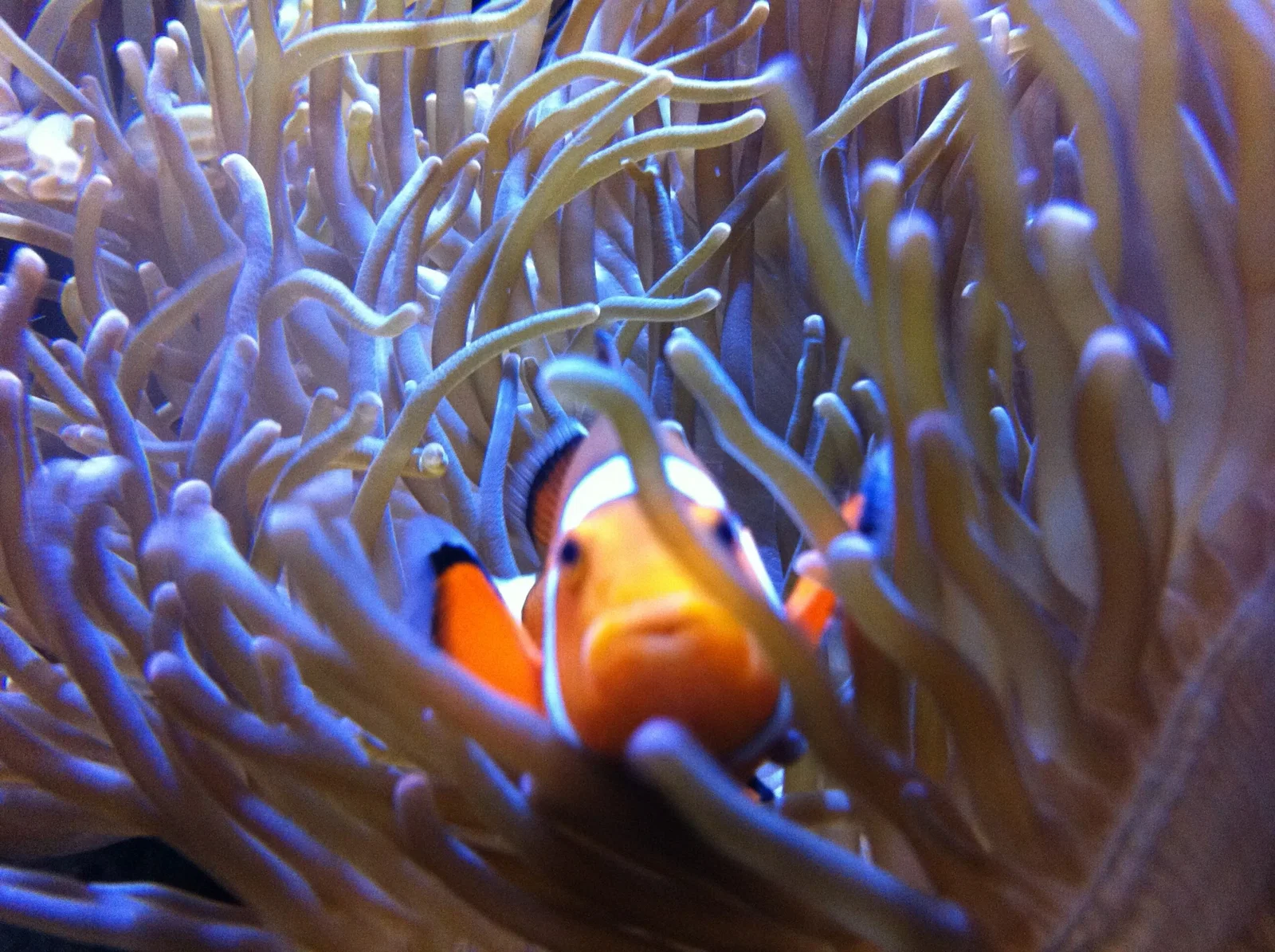 Getxo Aquarium