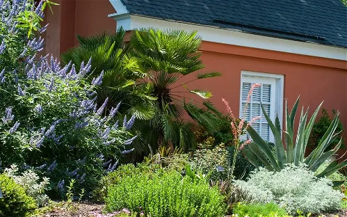 Coastal Georgia Botanical Gardens