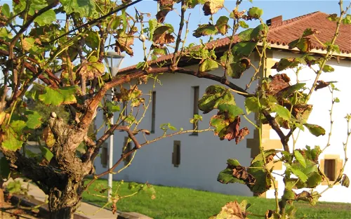 Txakoli Museum