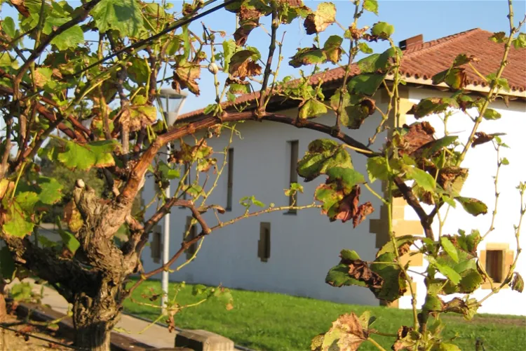 Txakoli Museum