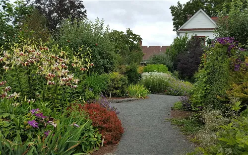 Rogerson Clematis Garden