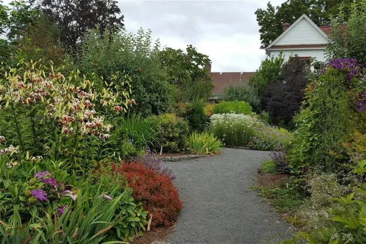 Rogerson Clematis Garden