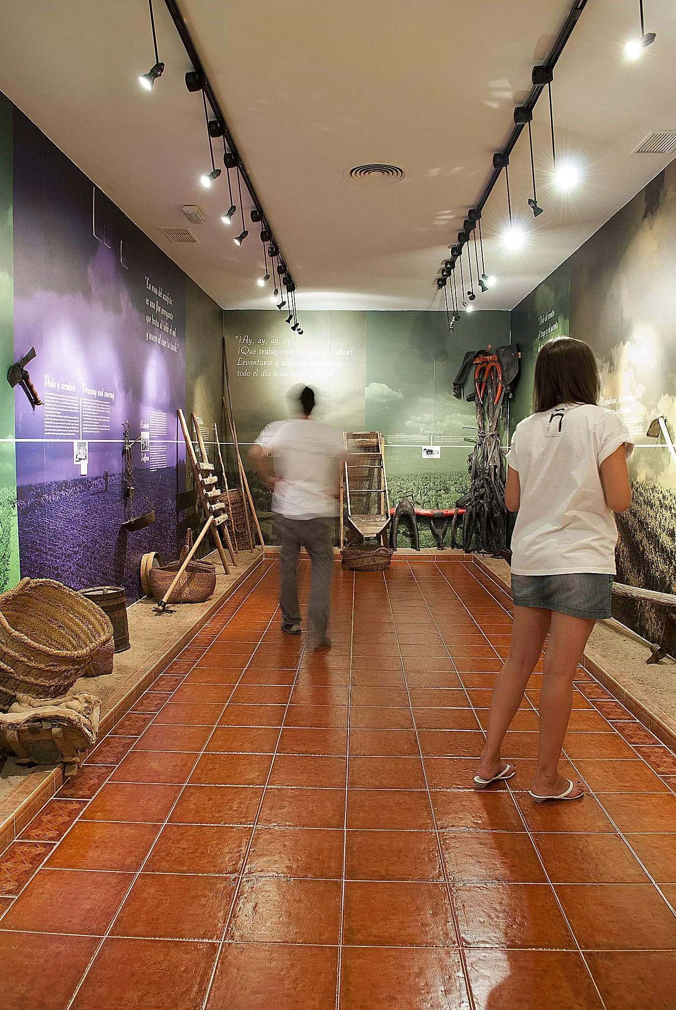 Museo La Rosa del Azafrán