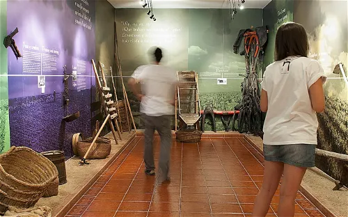 Museo La Rosa del Azafrán