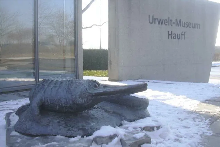 Urweltmuseum Hauff