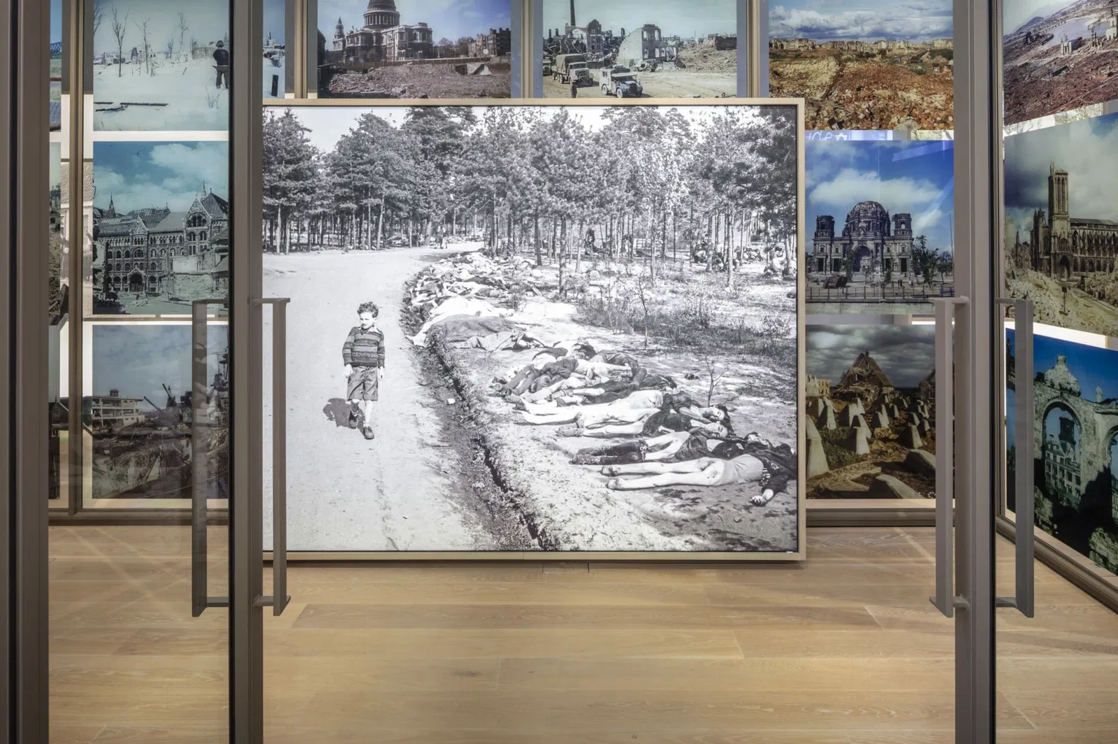 The Netherlands and the Shoah